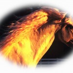caballo amarillo